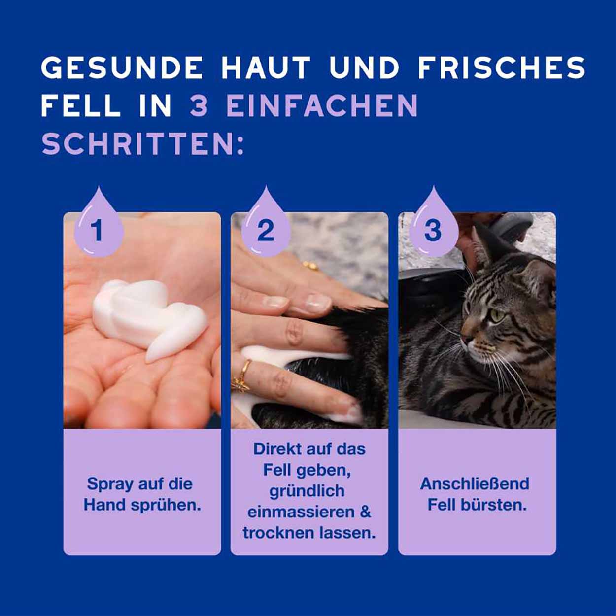 DOUXO SPA Mousse ohne Ausspülen für Katzen 150ml DOUXO SPA Mousse ohne Ausspülen für Katzen 150ml