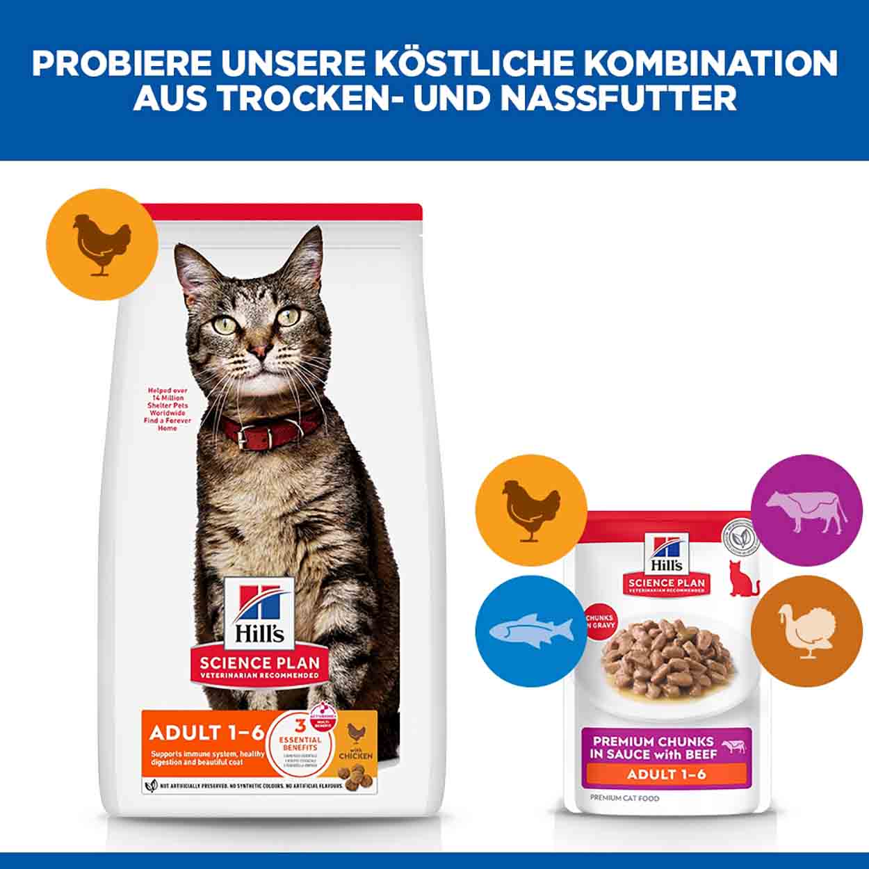 Hills Science Plan Katze Adult Rind 12x85g