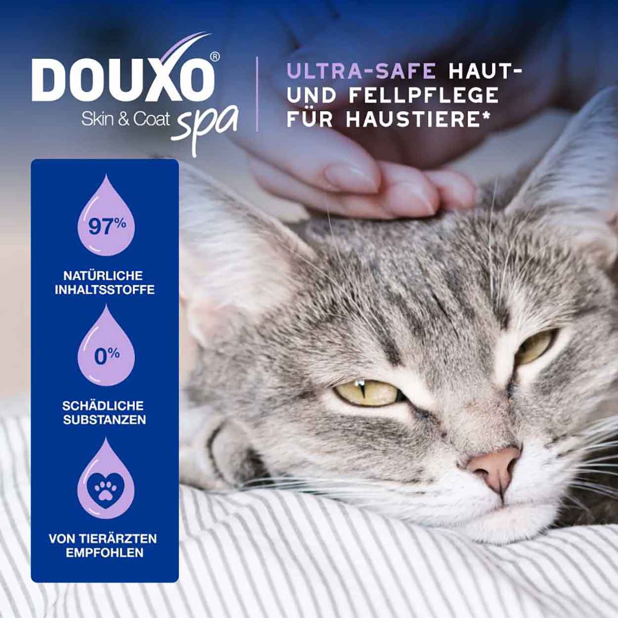 DOUXO SPA Mousse ohne Ausspülen für Katzen 150ml DOUXO SPA Mousse ohne Ausspülen für Katzen 150ml