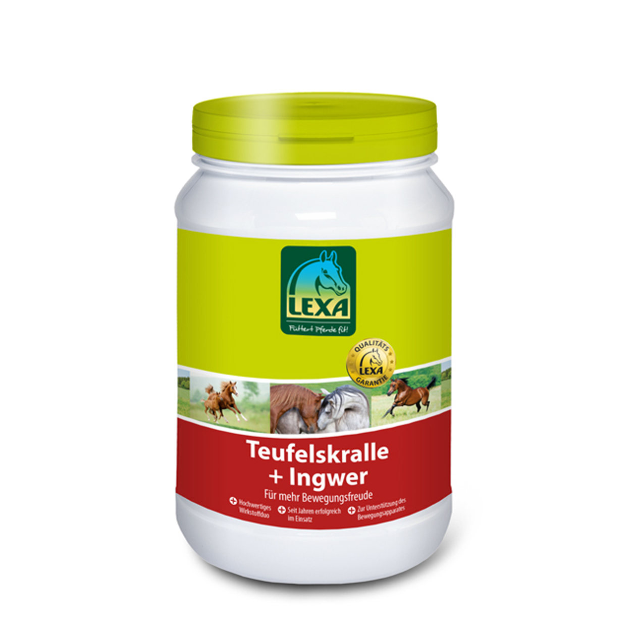 Lexa Teufelskralle Ingwer 1kg