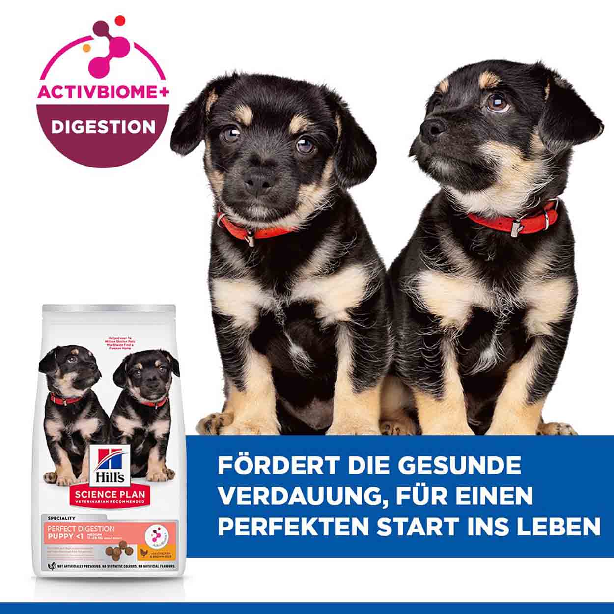 Hills Science Plan Hund Perfect Digestion Medium Puppy Huhn 14kg