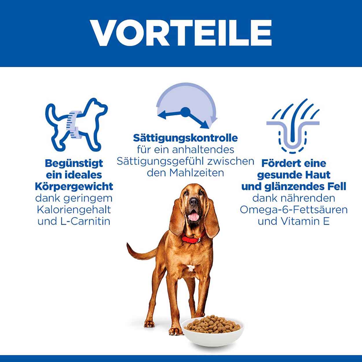 Hills Science Plan Hund Light Medium Mature 7+ Huhn 14kg