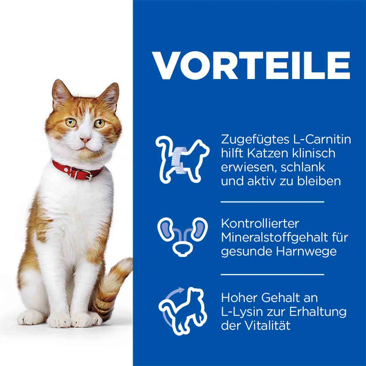 Hills Science Plan Katze Sterilised Cat Adult Lachs 10kg