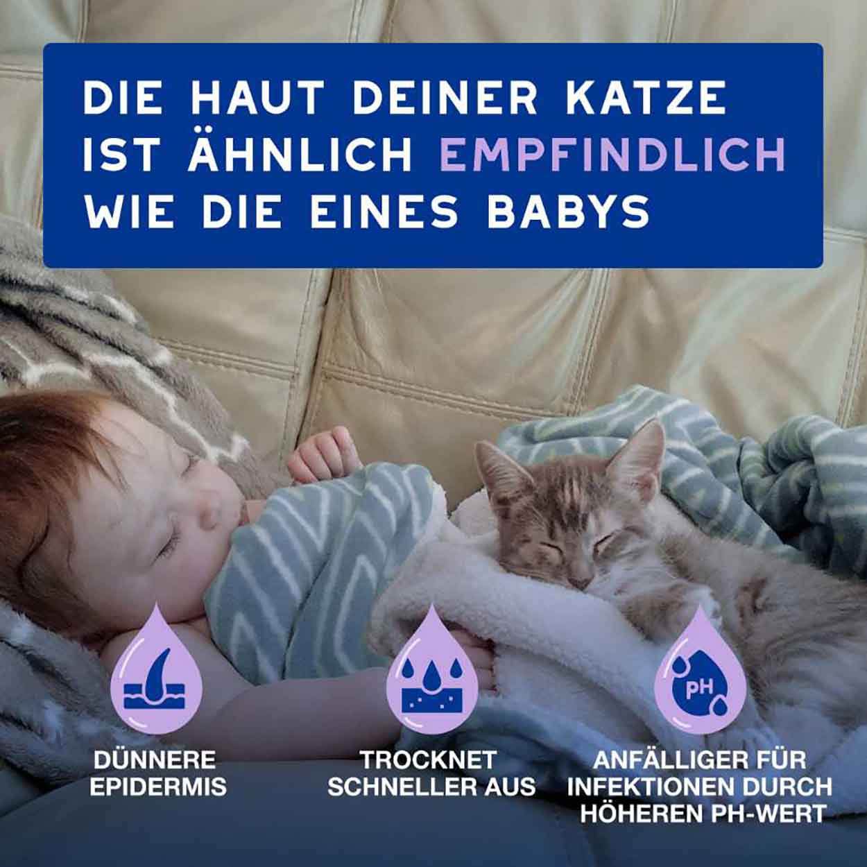 DOUXO SPA Mousse ohne Ausspülen für Katzen 150ml DOUXO SPA Mousse ohne Ausspülen für Katzen 150ml