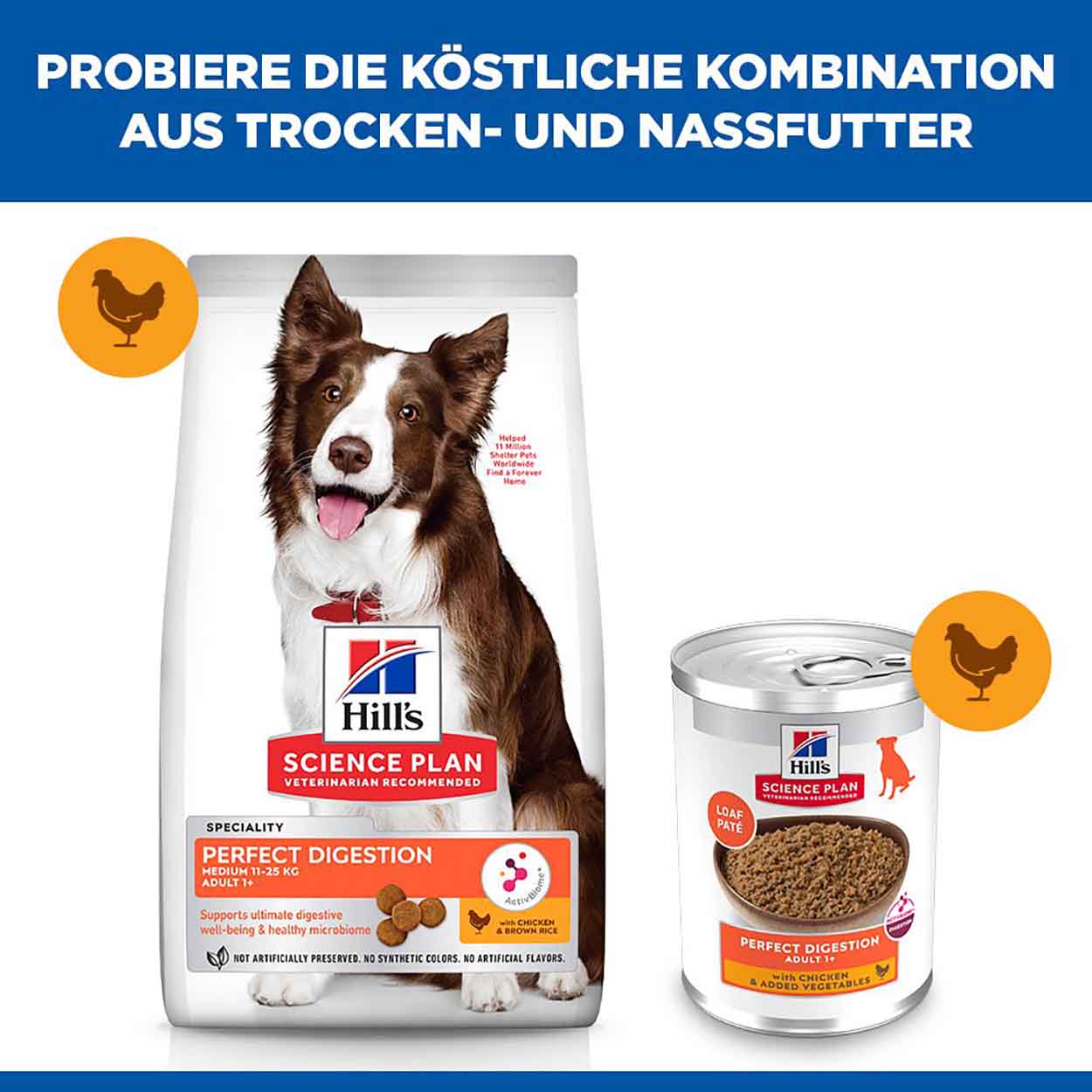 Hills Science Plan Hund Perfect Digestion Adult Huhn Gemüse 12x363g