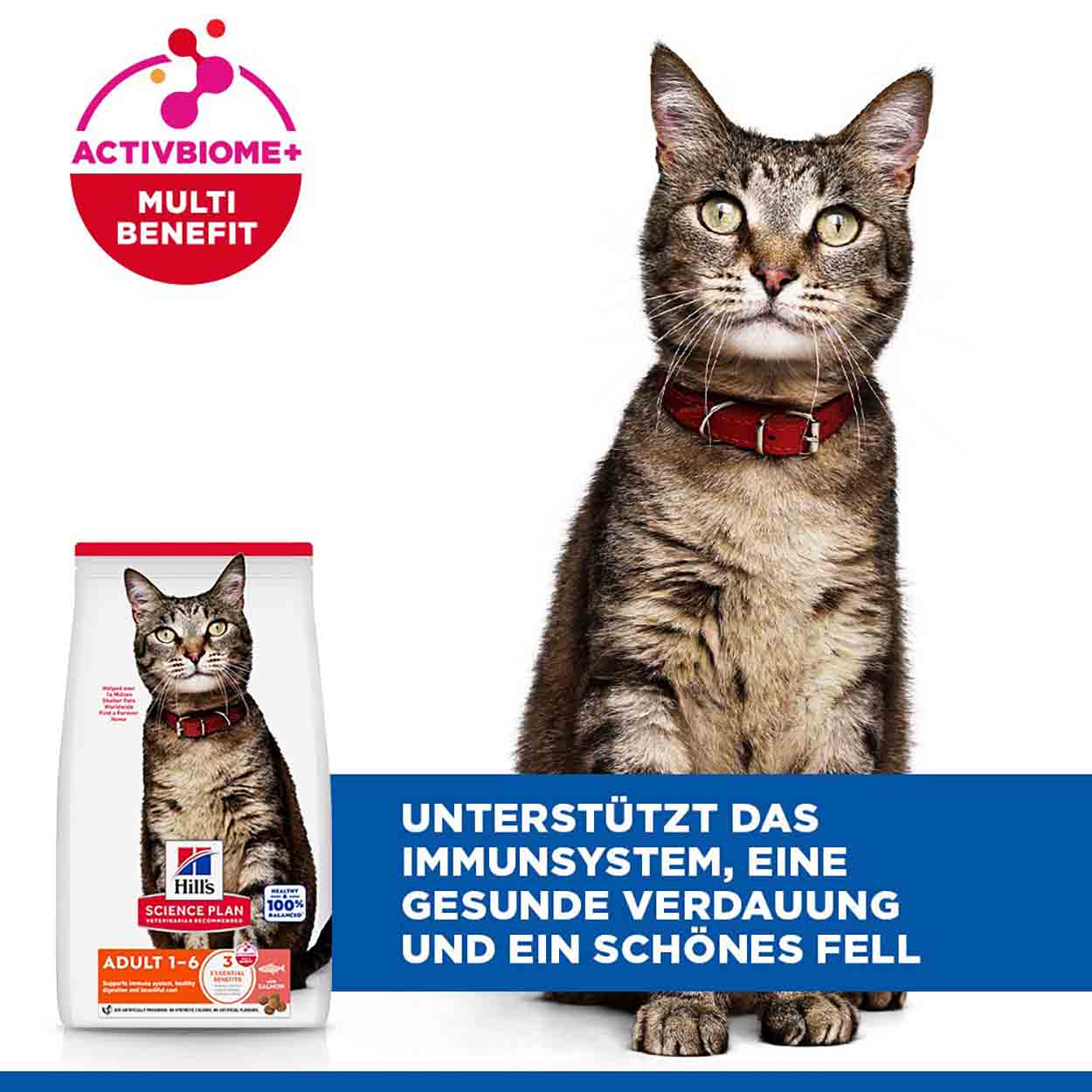 Hills Science Plan Katze Adult Lachs 3kg