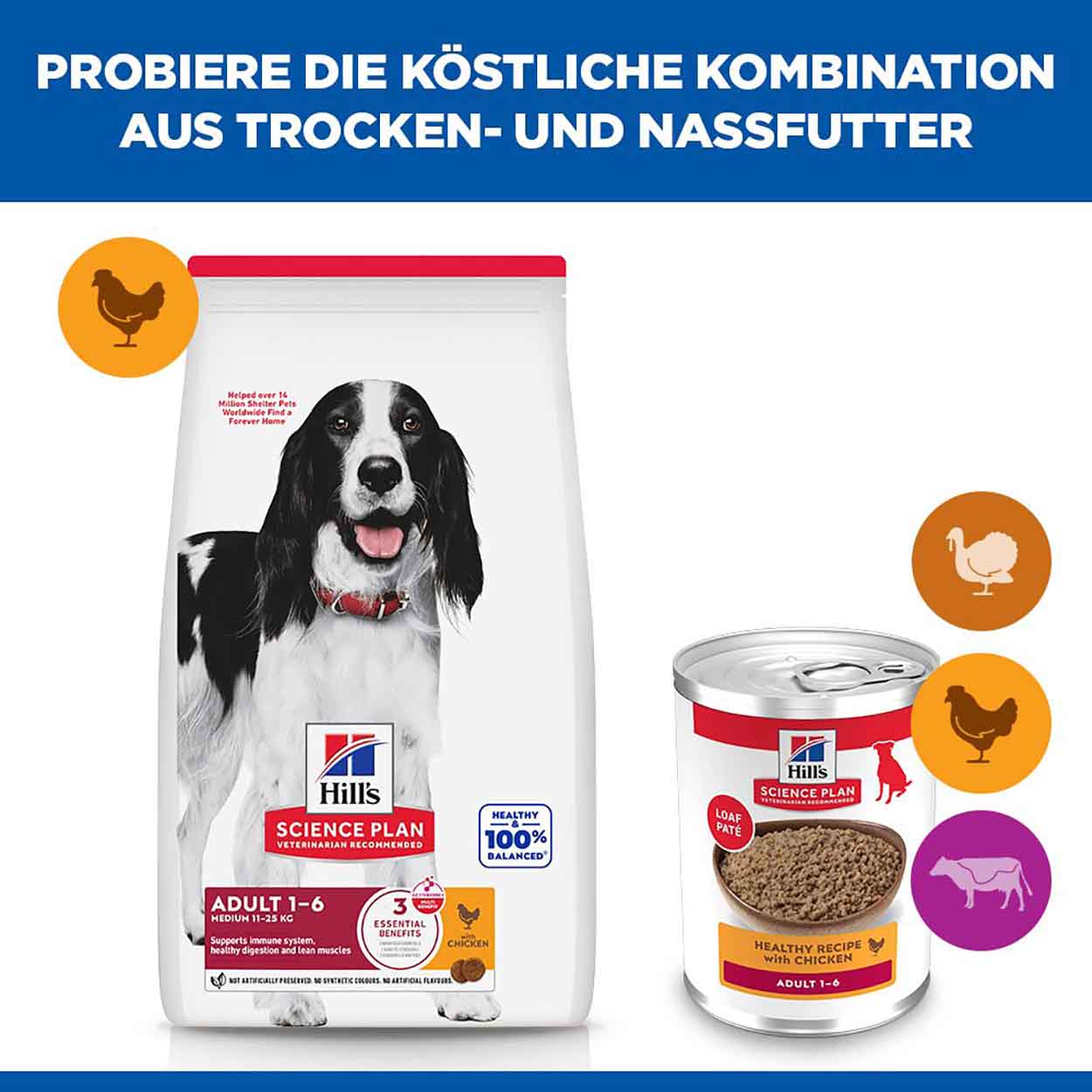 Hills Science Plan Hund Adult Huhn 12x370g