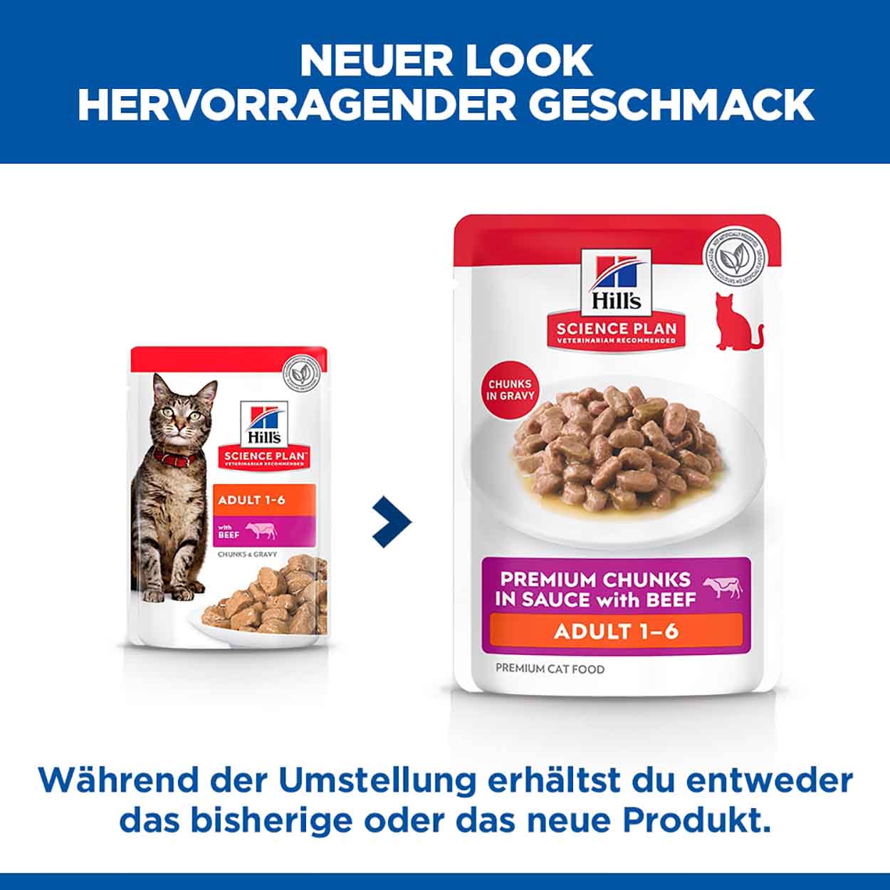 Hills Science Plan Katze Adult Rind 12x85g