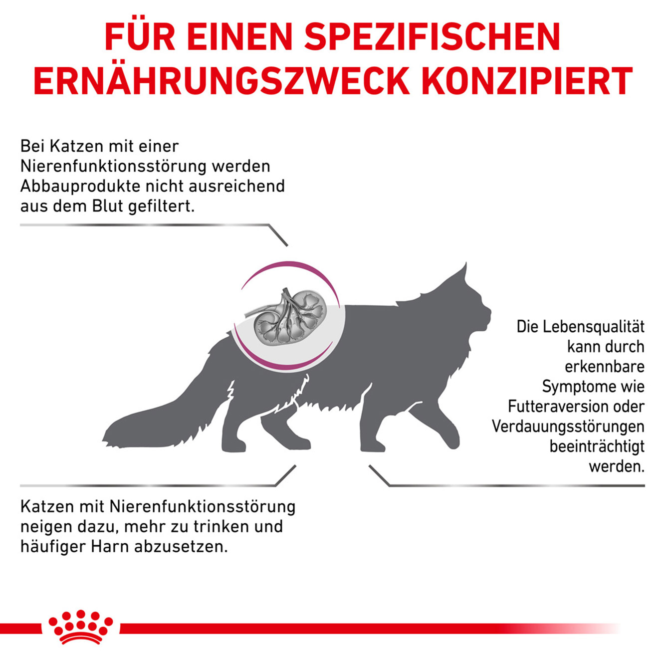 Royal Canin Katze Renal Special 4kg