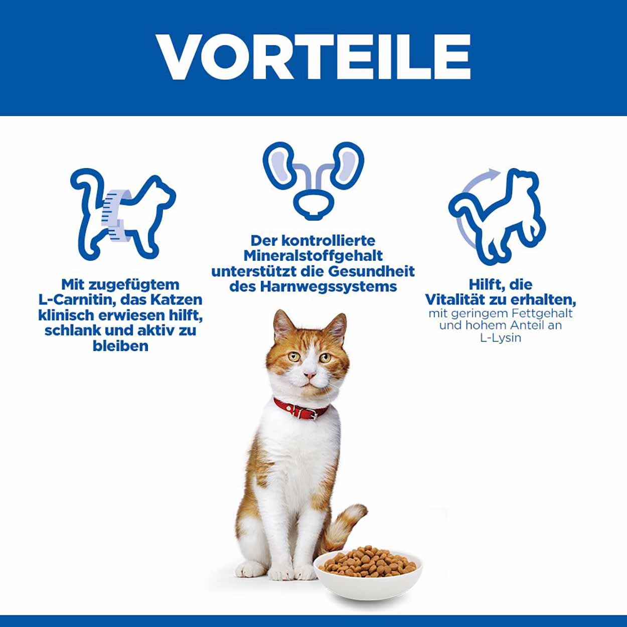 Hills Science Plan Katze Sterilised Cat Adult Huhn 3kg 