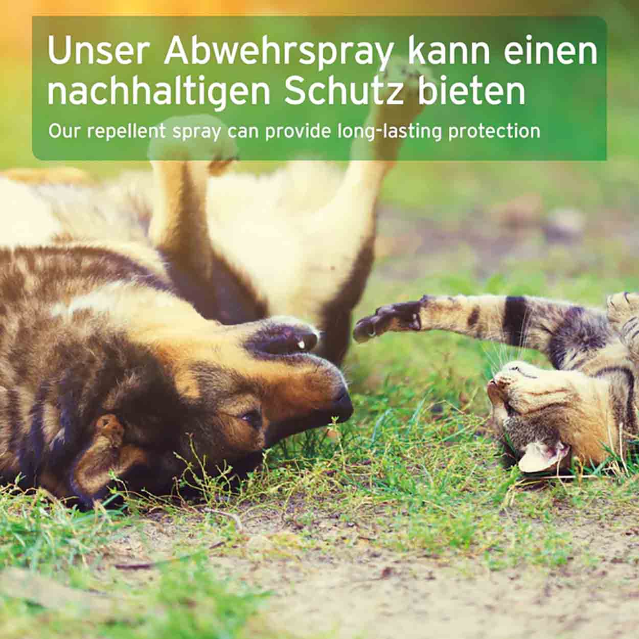 AniForte Zeckenspray Hund 100ml