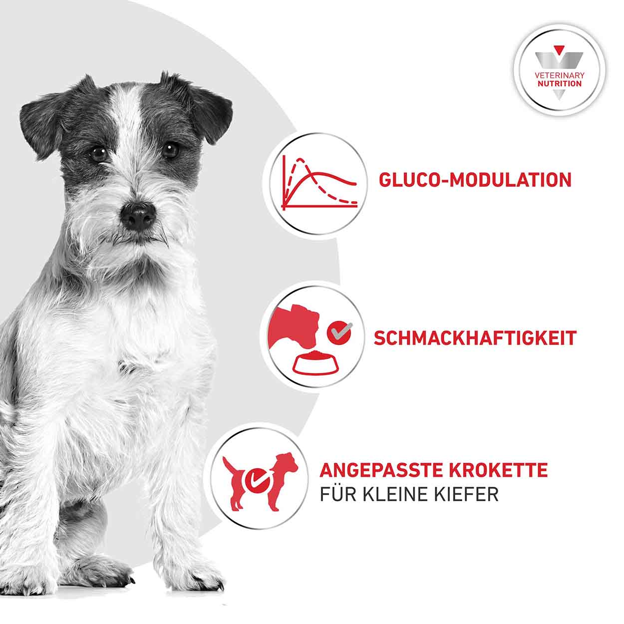 Royal Canin Hund Glycobalance Small Dog 1,5kg