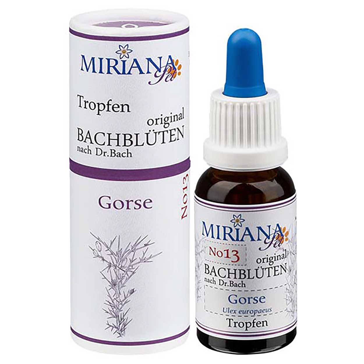 Bachblüten 13 Gorse 20ml