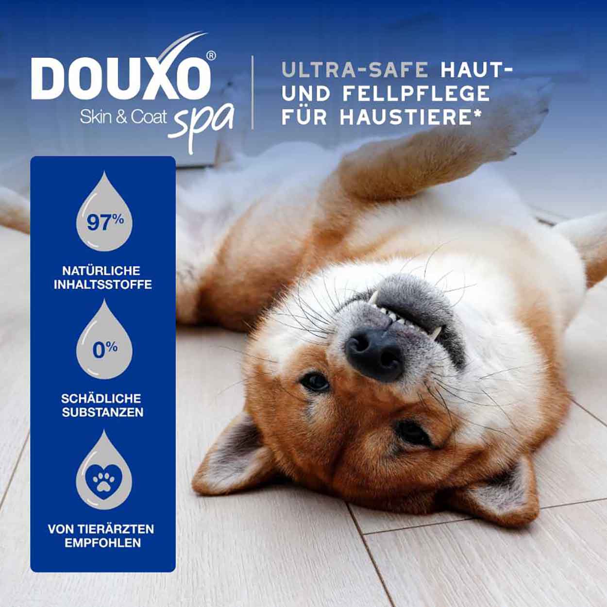 DOUXO SPA Feuchttücher 100Stk DOUXO SPA Feuchttücher 100Stk