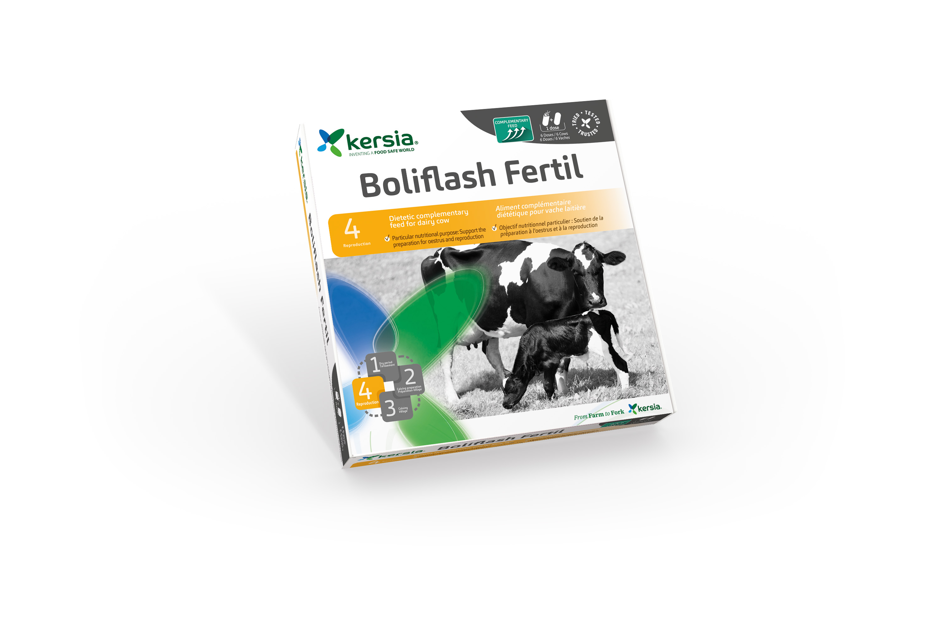 kersia Boliflash Fertil Box mit 12Boli