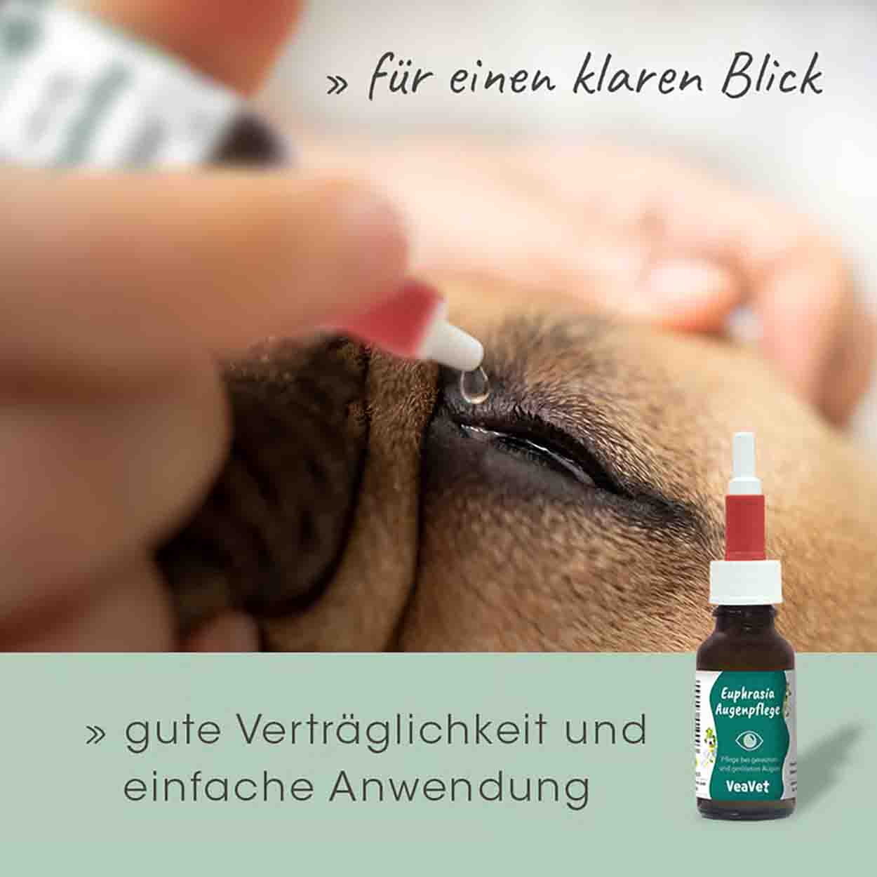 cdVet VeaVet Euphrasia Augenpflege 20ml