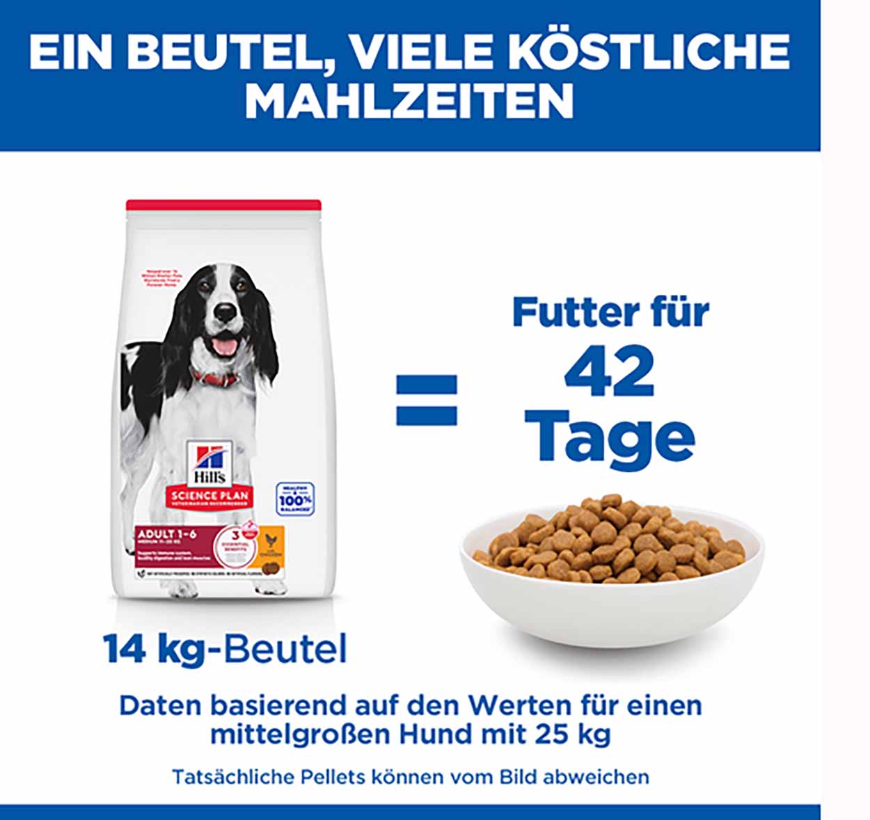 Hills Science Plan Hund Medium Adult Huhn 14kg