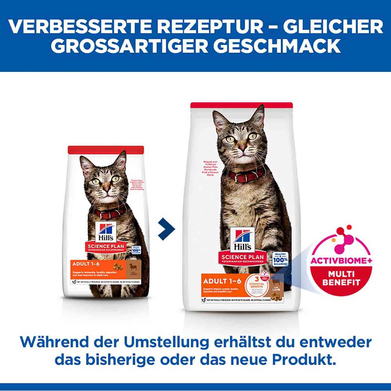Hills Science Plan Katze Adult Lamm & Reis 3kg