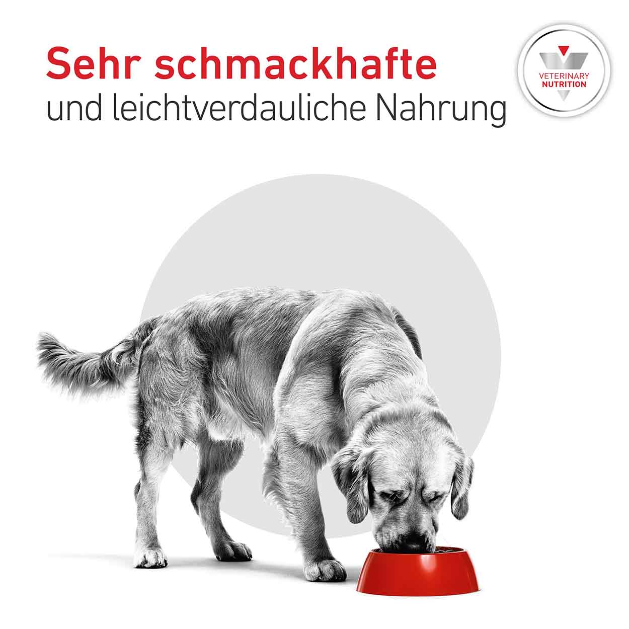 Royal Canin Hund Glycobalance Low Carb Mousse 12x195g