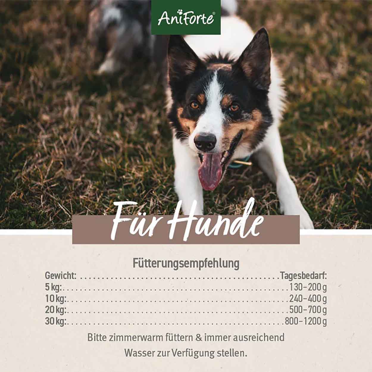 AniForte Pure Nature Ranch Horse 