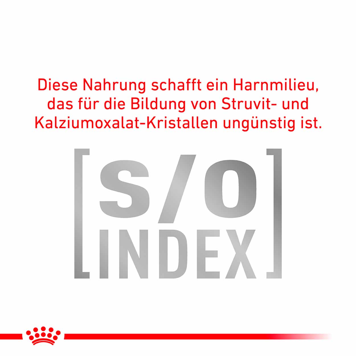 Royal Canin Hund Diabetic special low 12x195g