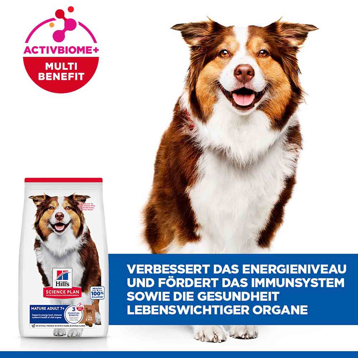 Hills Science Plan Hund Medium Mature Adult 7+ Lamm 2,5kg