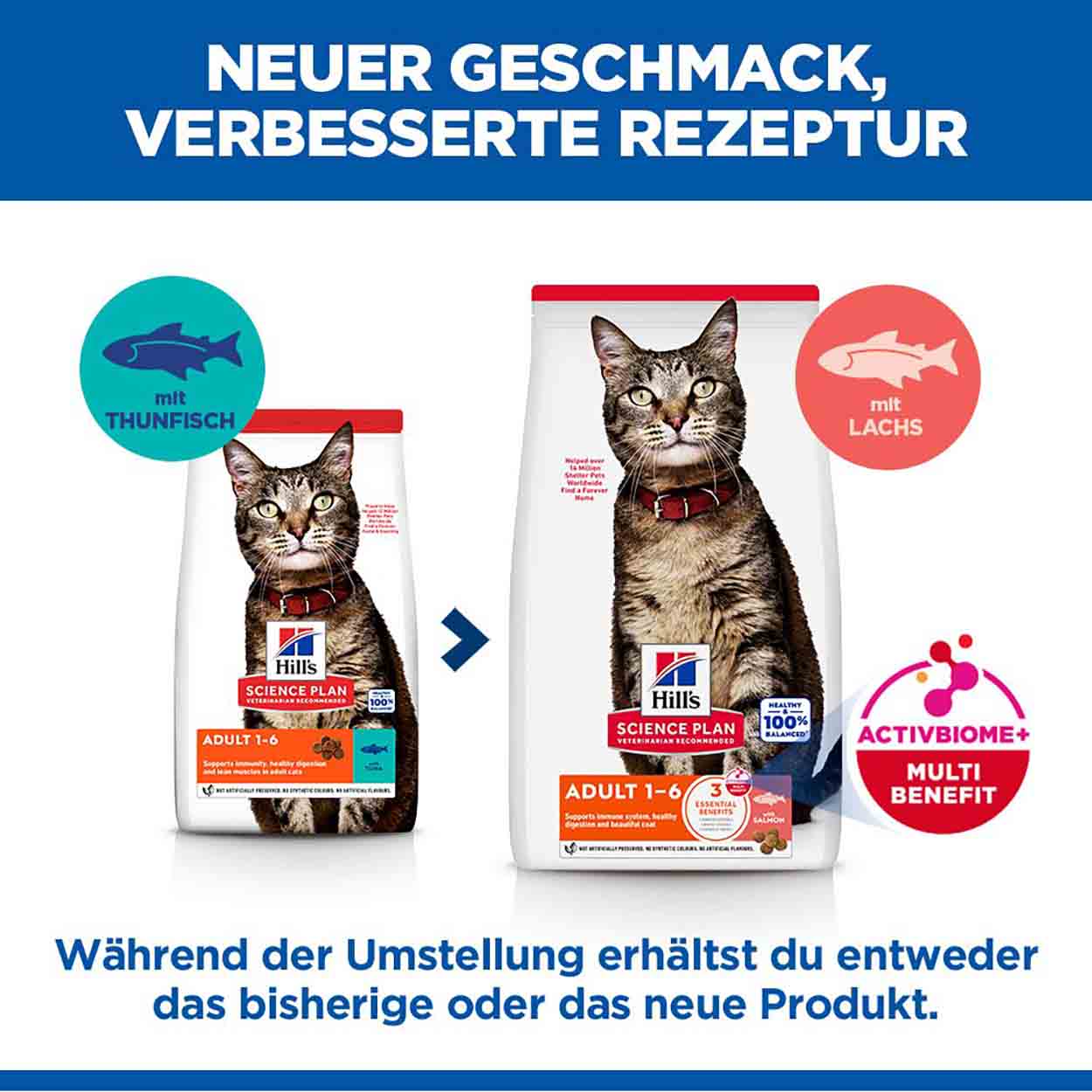 Hills Science Plan Katze Adult Lachs 3kg