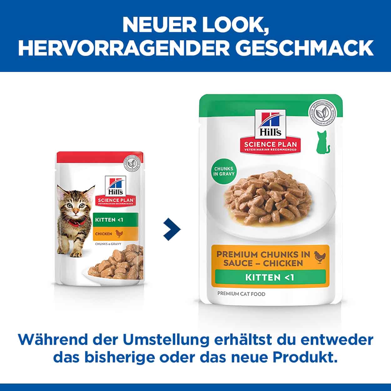 Hills Science Plan Katze Kitten Huhn 12x85g