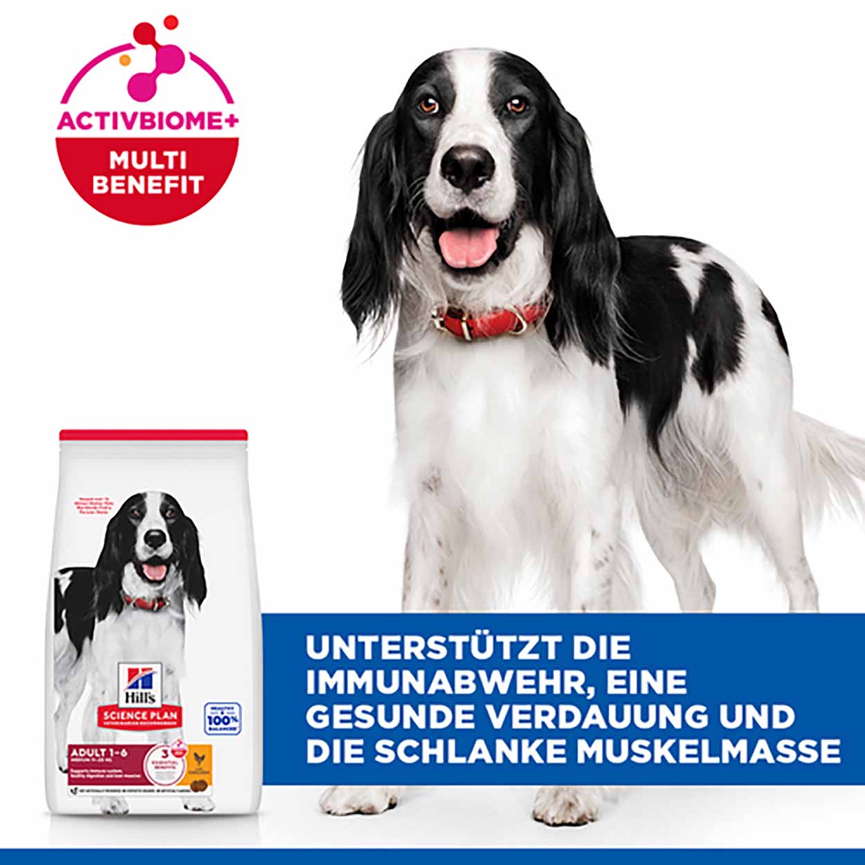 Hills Science Plan Hund Medium Adult Huhn 2,5kg