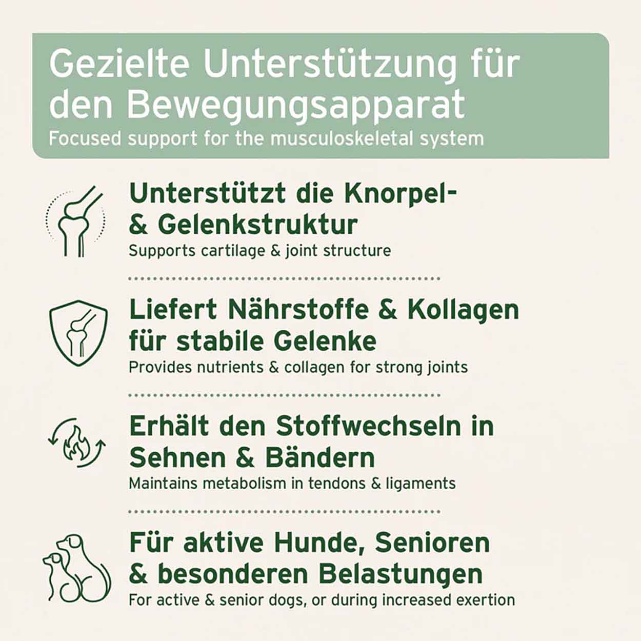 AniForte Gelenktabletten mit MSM 150Tabs