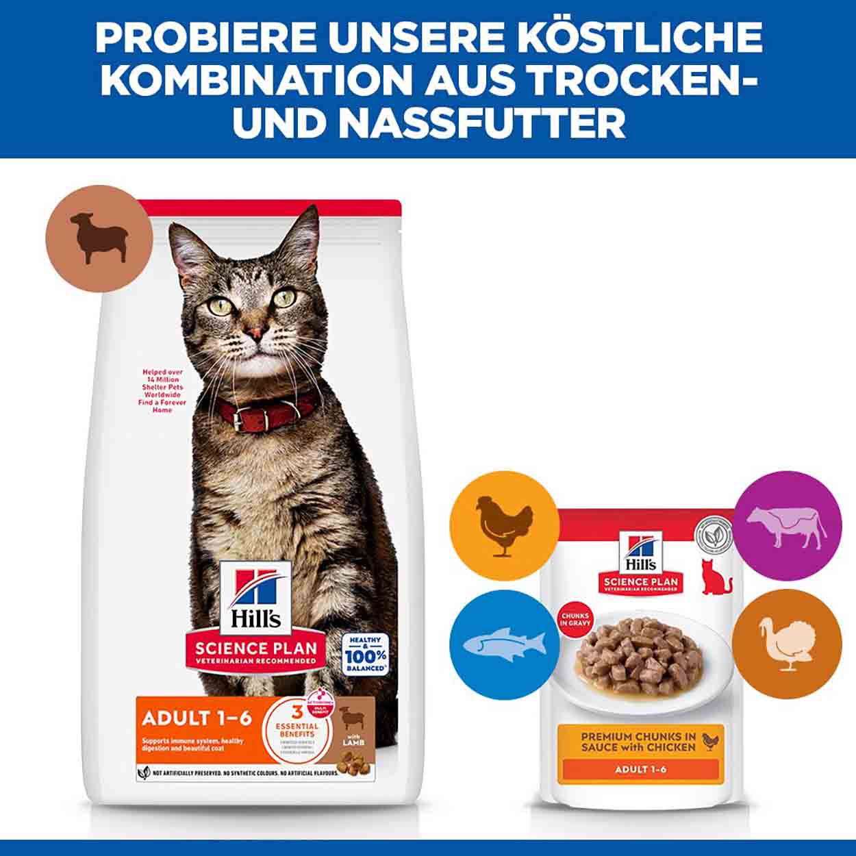 Hills Science Plan Katze Adult Lamm & Reis 3kg