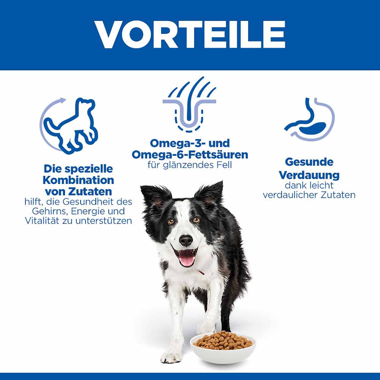 Hills Science Plan Hund Senior Vitality Medium Mature Adult 7+ Huhn 14kg