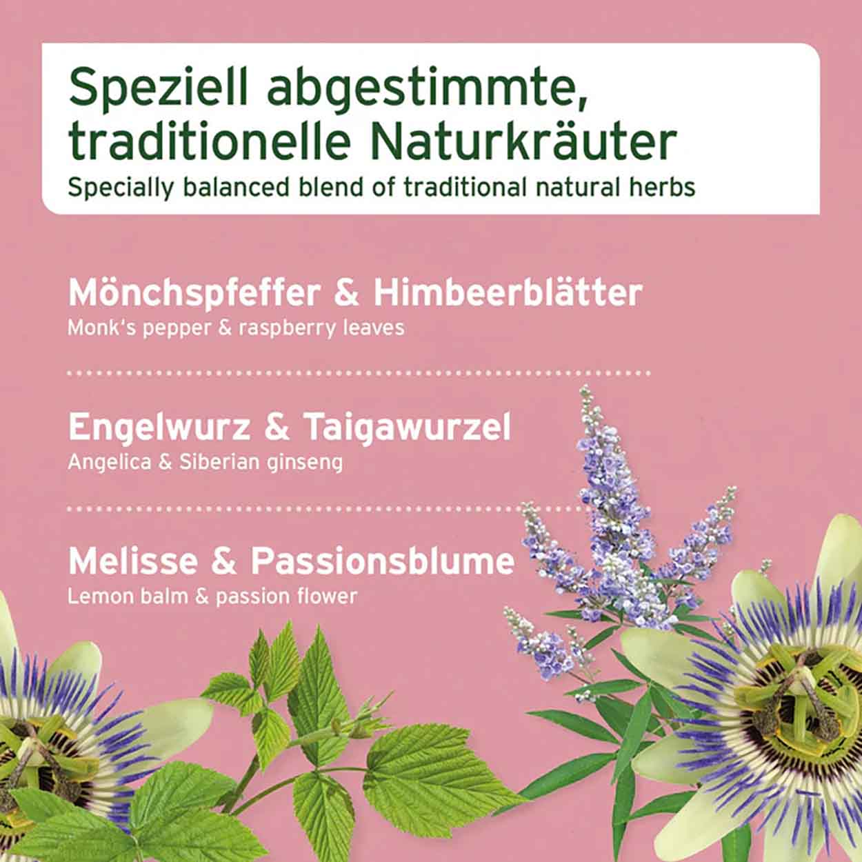 AniForte Hormon Balance 80g