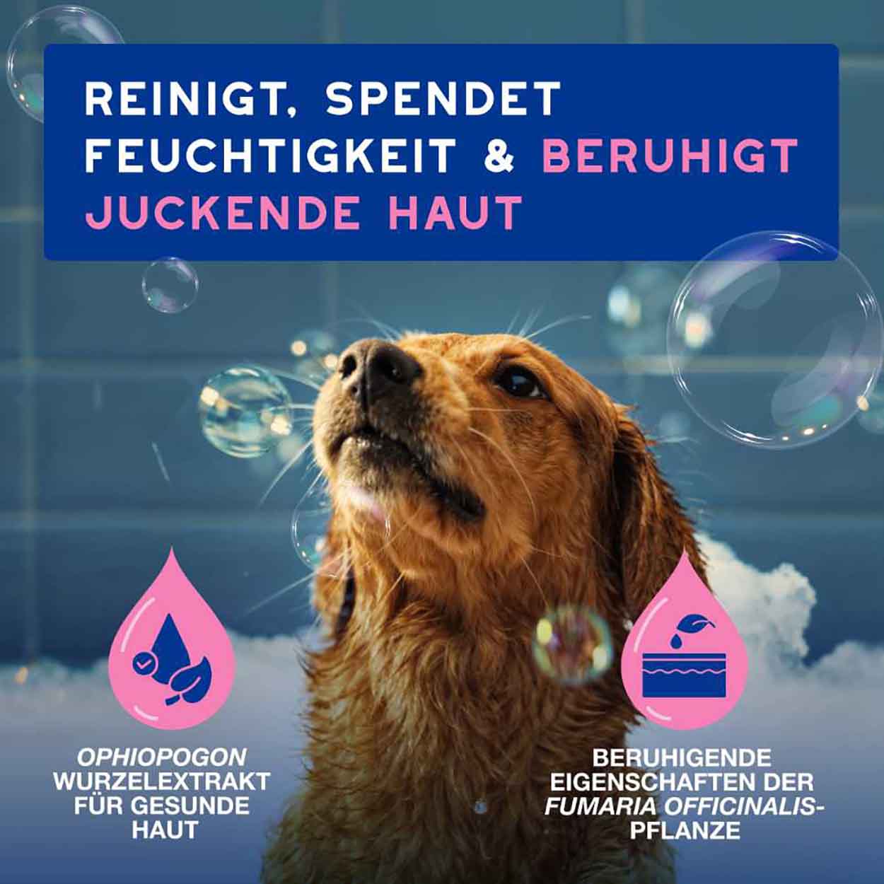 DOUXO SPA Shampoo gegen Juckreiz 250ml DOUXO SPA Shampoo gegen Juckreiz 250ml