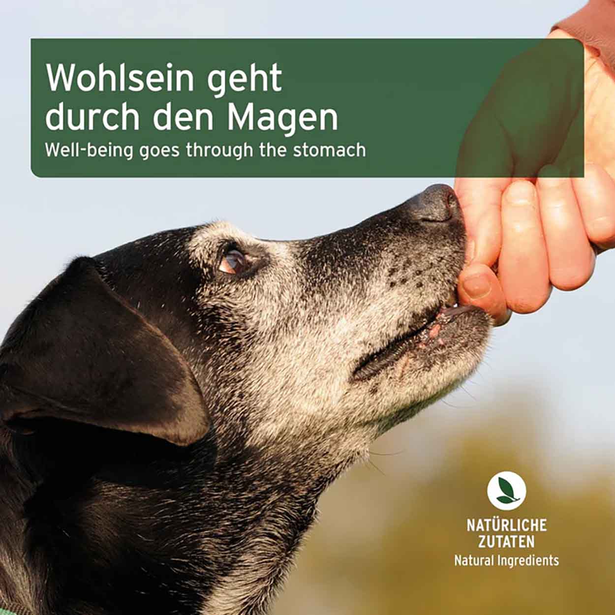AniForte Magen Darm Snack 300g