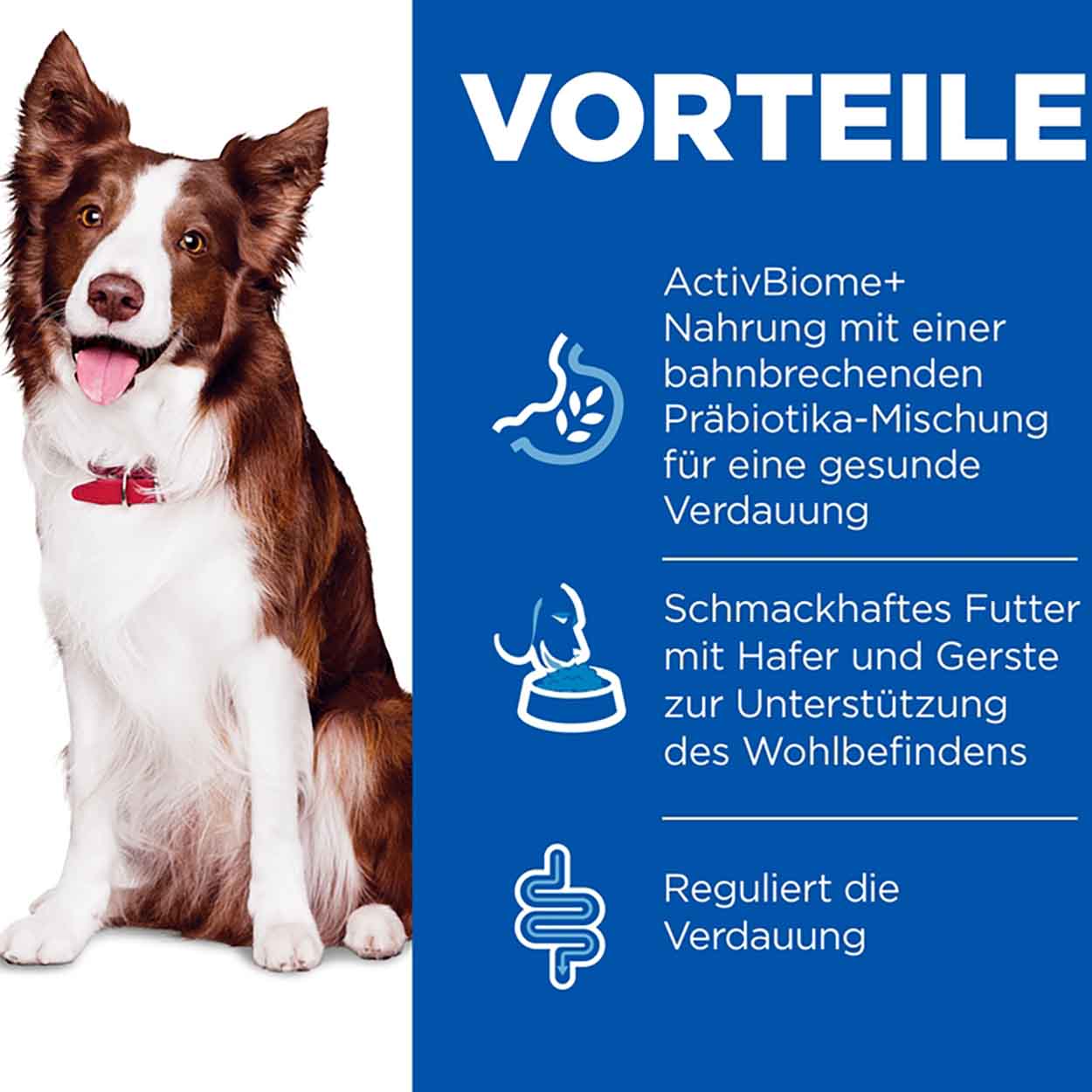 Hills Science Plan Hund Perfect Digestion Adult Huhn Gemüse 12x363g