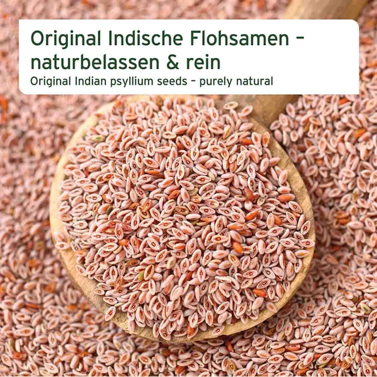 AniForte Indische Flohsamen