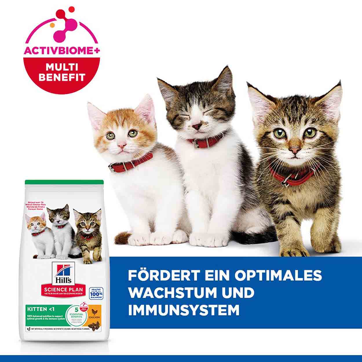 Hills Science Plan Katze Kitten Huhn 1,5kg  