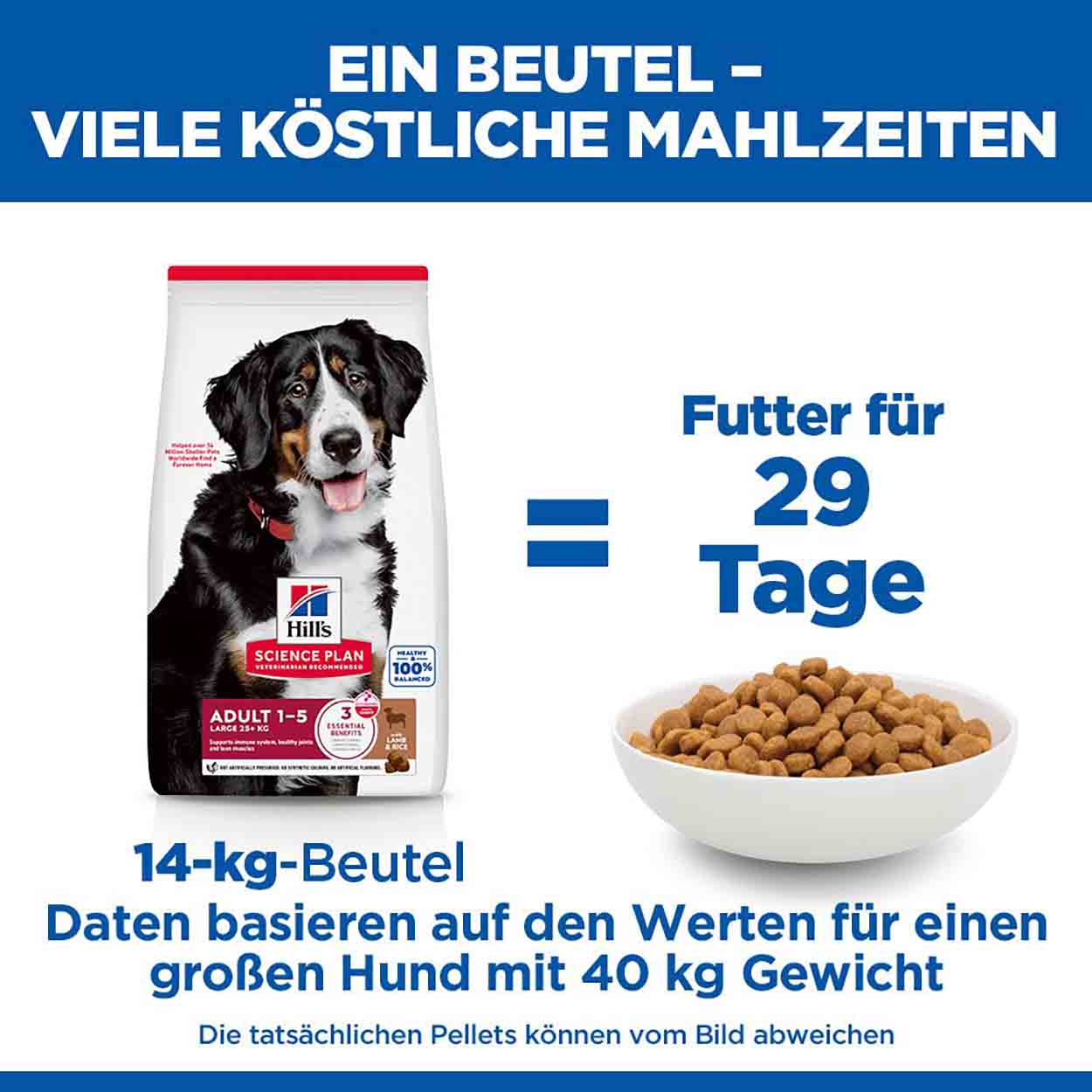Hills Science Plan Hund Large Breed Adult Lamm & Reis 14kg