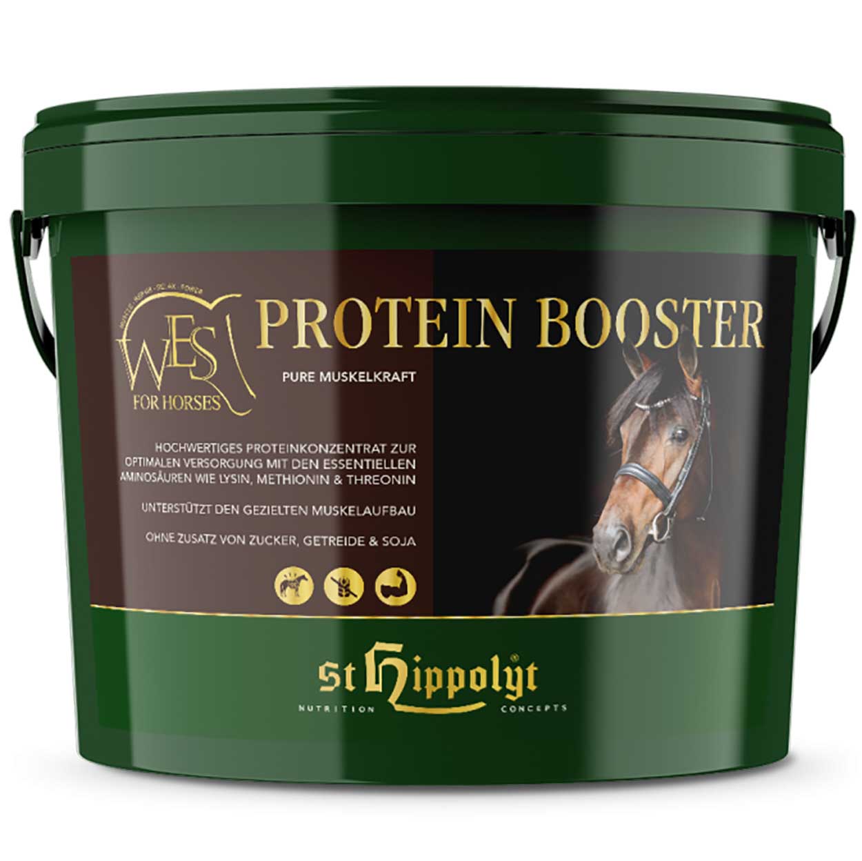 WES Protein Booster 4kg