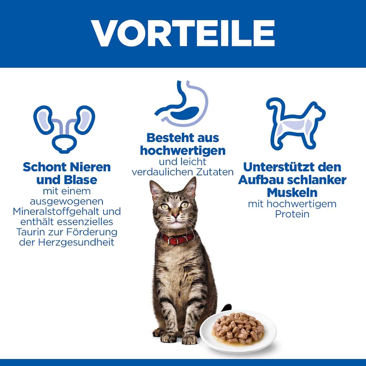 Hills Science Plan Katze Adult Truthahn 12x85g 
