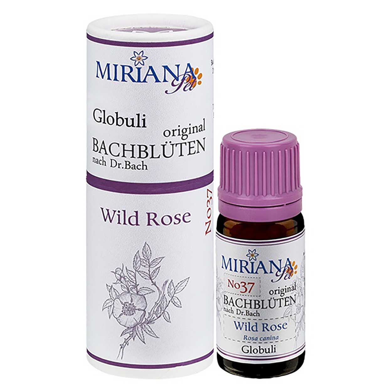 Bachblüten 37 Wild Rose Globuli 10g