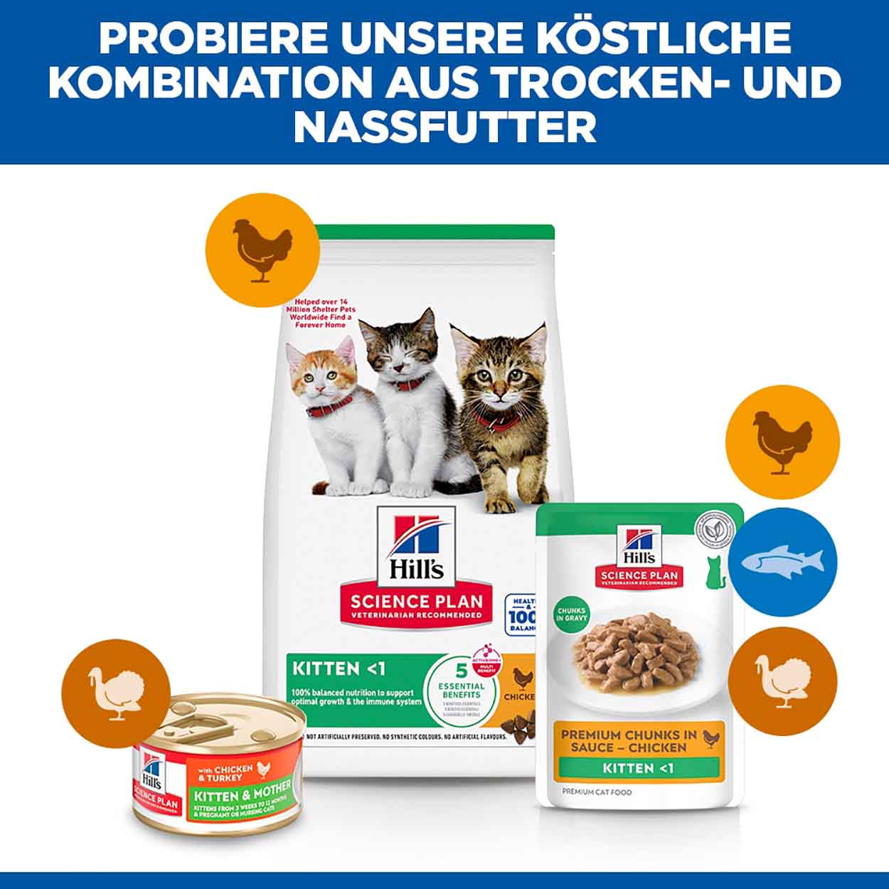 Hills Science Plan Katze Kitten Huhn 12x85g