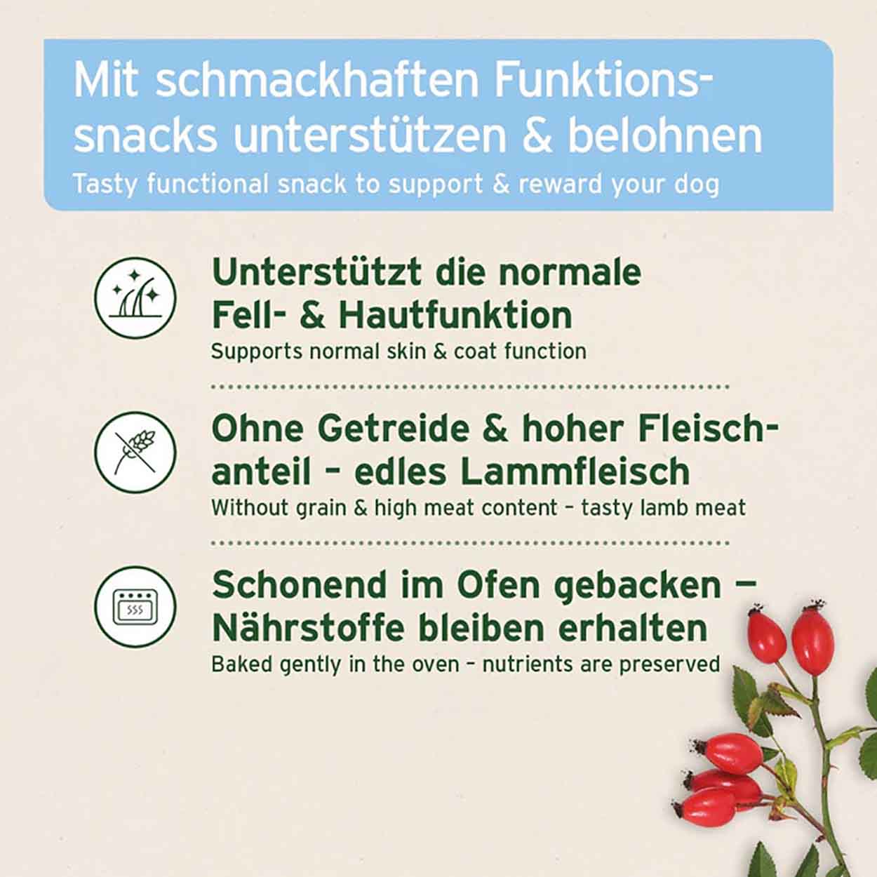 AniForte Fell & Haut Snack 300g