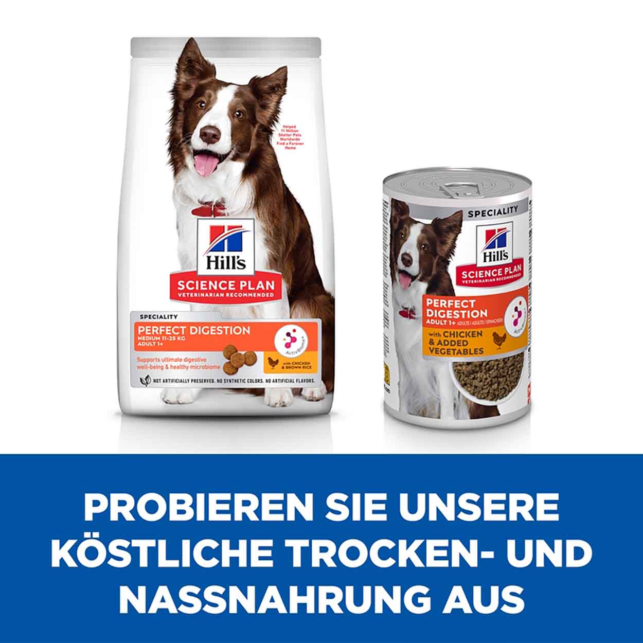Hills Science Plan Hund Perfect Digestion Adult Huhn Gemüse 12x363g