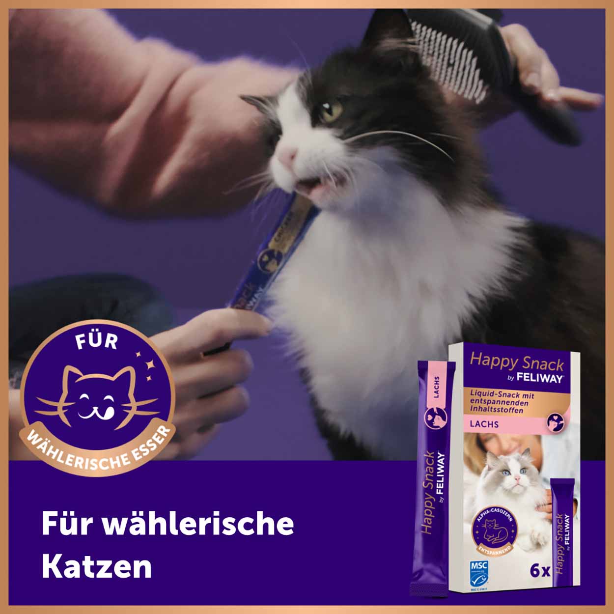 FELIWAY Happy Snack Lachs 6x15g 