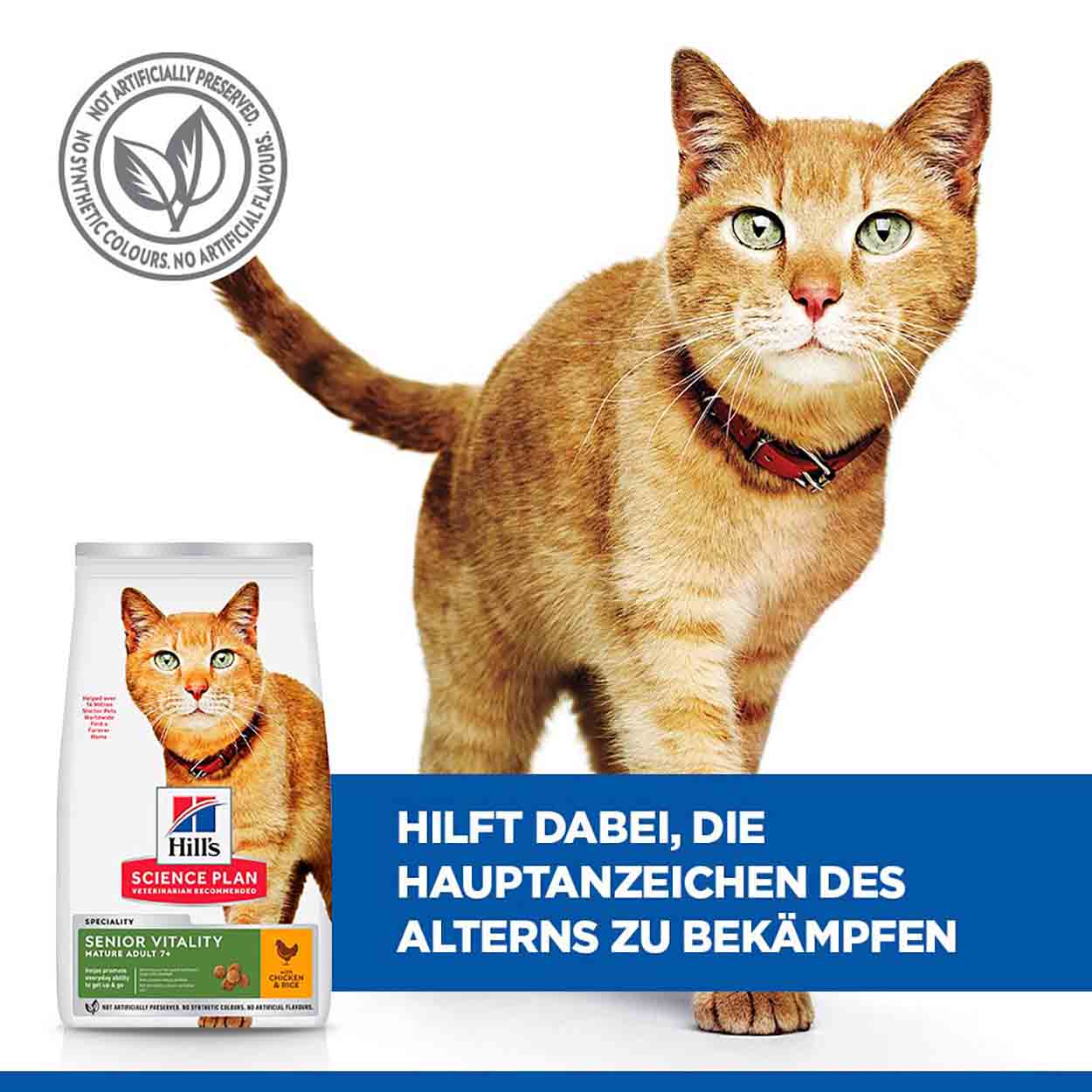 Hills Science Plan Katze Senior Vitality Mature Adult 7+ Huhn 7kg