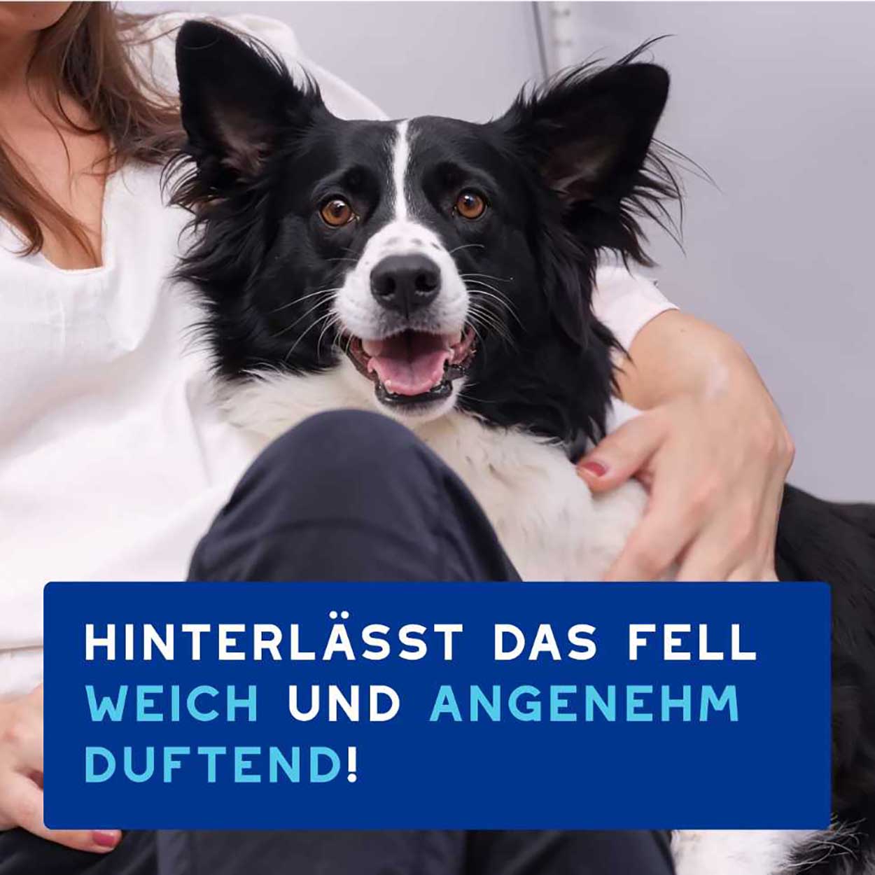 DOUXO SPA Mousse ohne Ausspülen für Hunde 150ml DOUXO SPA Mousse ohne Ausspülen für Hunde 150ml