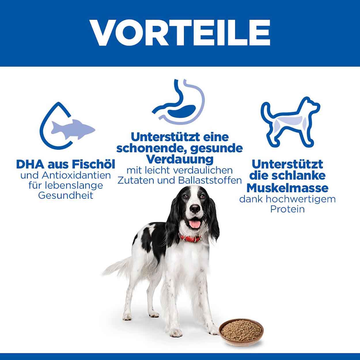 Hills Science Plan Hund Adult Huhn 12x370g