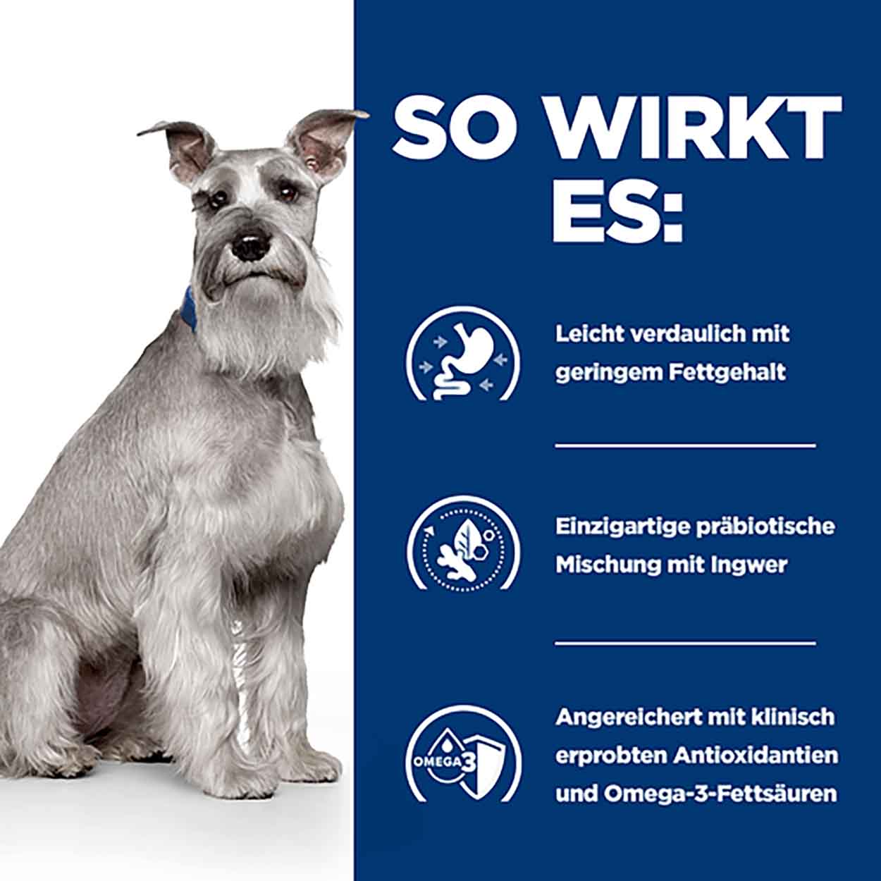 Hills Canine i/d low fat Mini Ragout Huhn Gemüse 24x156g 